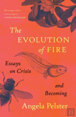 Bertrand.pt - The Evolution Of Fire