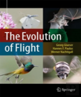 The Evolution Of Flight