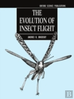 Bertrand.pt - The Evolution Of Insect Flight