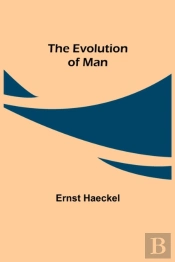 The Evolution Of Man