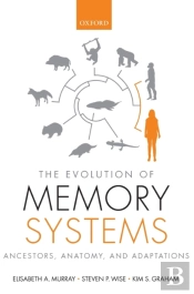 The Evolution Of Memory Systems