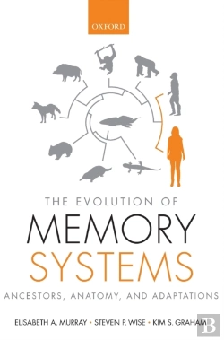 Bertrand.pt - The Evolution Of Memory Systems