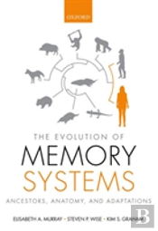 The Evolution Of Memory Systems