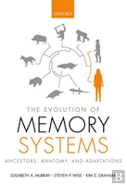Bertrand.pt - The Evolution Of Memory Systems