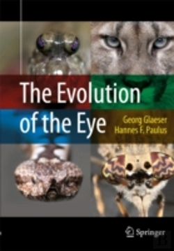 Bertrand.pt - The Evolution Of The Eye