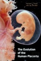 The Evolution Of The Human Placenta