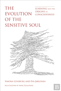 Bertrand.pt - The Evolution Of The Sensitive Soul