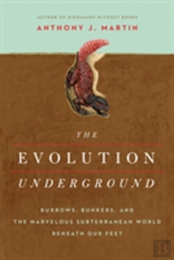 Bertrand.pt - The Evolution Underground