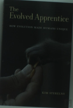 Bertrand.pt - The Evolved Apprentice