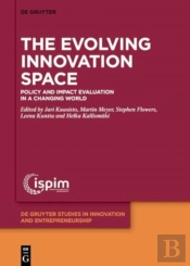 The Evolving Innovation Space