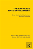 The Exchange Rate Environment