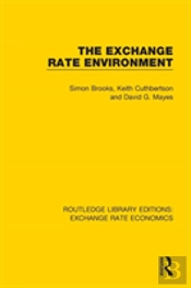 The Exchange Rate Environment