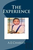 The Experience