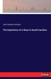 The Experience Of A Slave In South Carolina