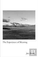 The Experience Of Meaning