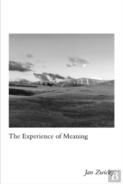 Bertrand.pt - The Experience Of Meaning