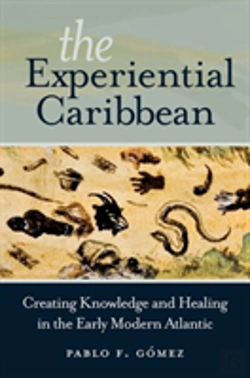 Bertrand.pt - The Experiential Caribbean