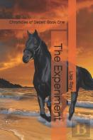 The Experiment