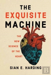 The Exquisite Machine