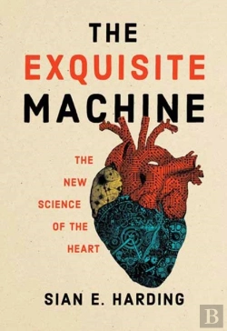 Bertrand.pt - The Exquisite Machine