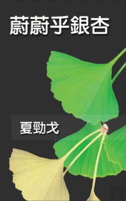 Bertrand.pt - The Exuberant Ginkgo Tree