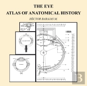 The Eye