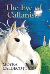 The Eye Of Callanish