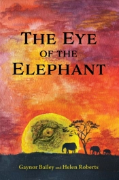 The Eye Of The Elephant
