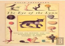 The Eye Of The Lynx