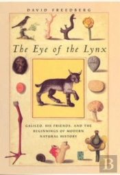 The Eye Of The Lynx