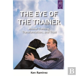 Bertrand.pt - The Eye Of The Trainer