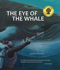 Bertrand.pt - The Eye Of The Whale