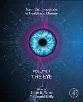 The Eye