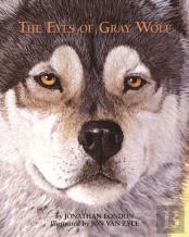 The Eyes Of Gray Wolf