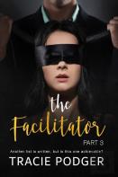 The Facilitator, Part 3