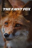 The Faint Fox