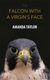 The Falcon With A Virgin'S Face