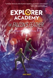 The Falconâ€™S Feather Book 2