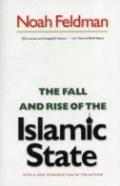 The Fall And Rise Of The Islamic State
