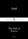 The Fall Of Icarus