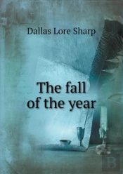 The Fall Of The Year