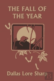 The Fall Of The Year