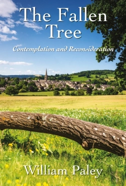 Bertrand.pt - The Fallen Tree