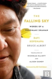 The Falling Sky