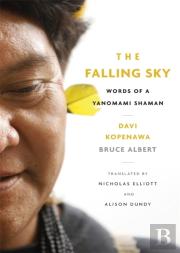 The Falling Sky