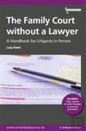 The Family Court Without A Lawyer