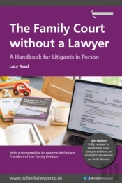 The Family Court Without A Lawyer