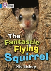 The Fantastic Flying Squirrel