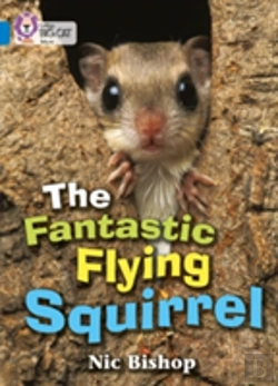 Bertrand.pt - The Fantastic Flying Squirrel