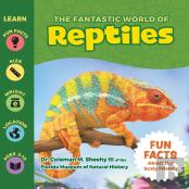 The Fantastic World Of Reptiles